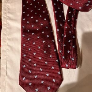 Pal Zileri Burgundy Tie with Light Blue Pattern